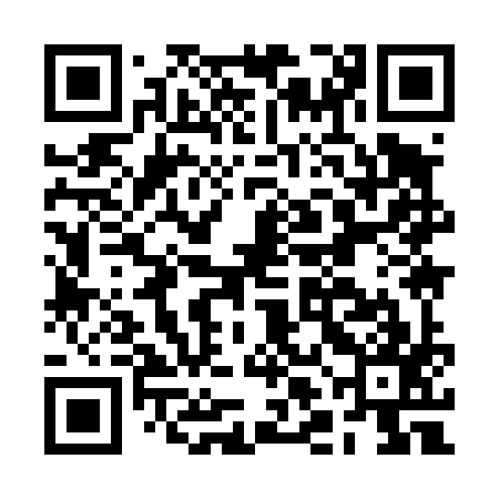 QR code for BLI497