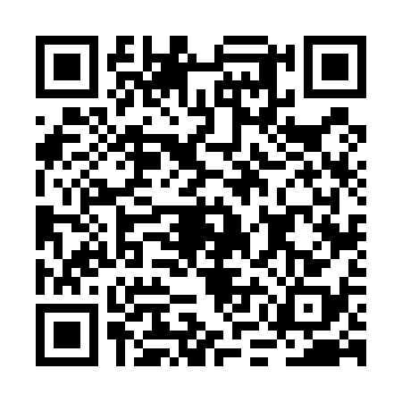 QR code for BMF5385