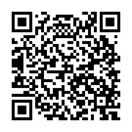 QR code for BMJ387