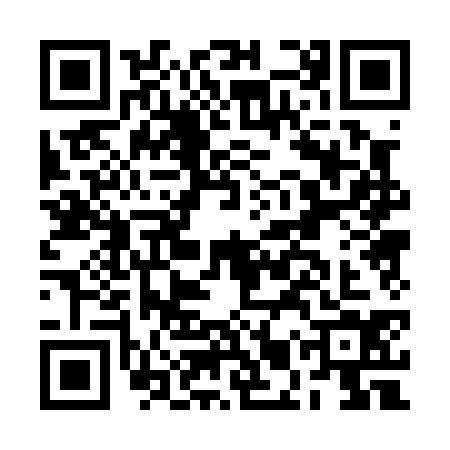 QR code for BMP0341