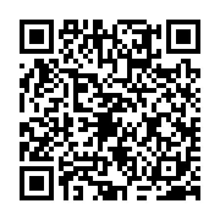 QR code for BOR3119