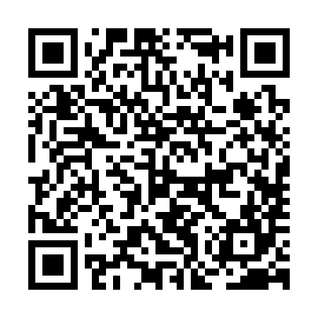 QR code for BOR384