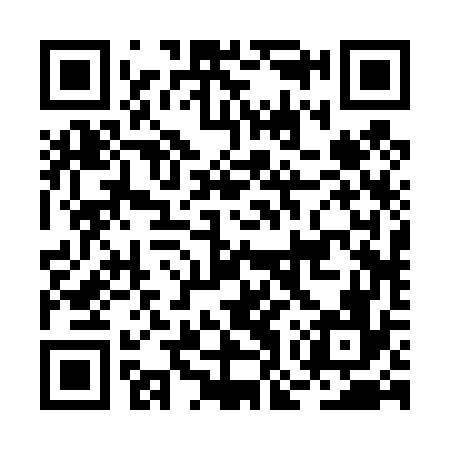 QR code for BOR476