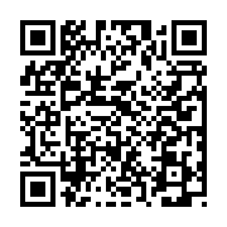 QR code for BRR8294