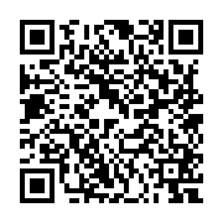 QR code for BVS9413