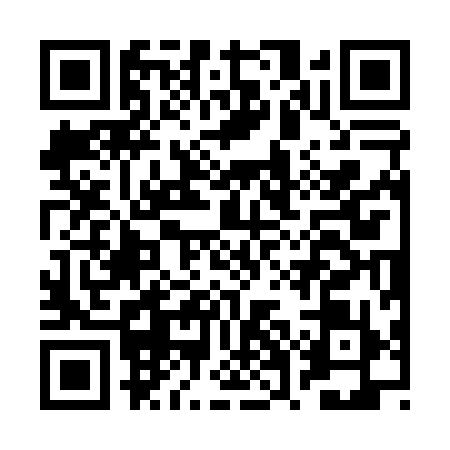 QR code for BWC0991