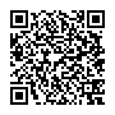 QR code for BZJ4383