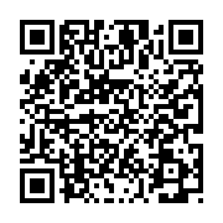 QR code for BZL8919