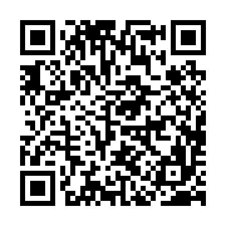QR code for CAP296