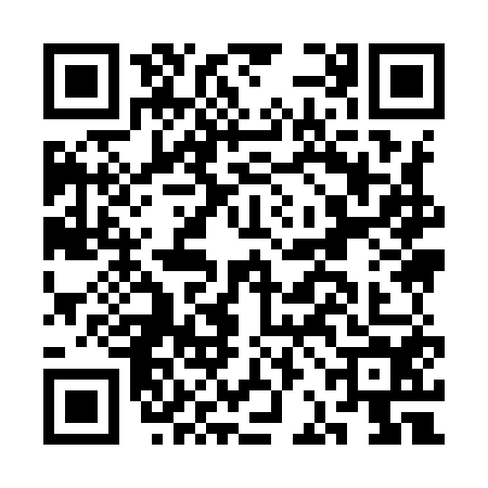 QR code for CBI9541