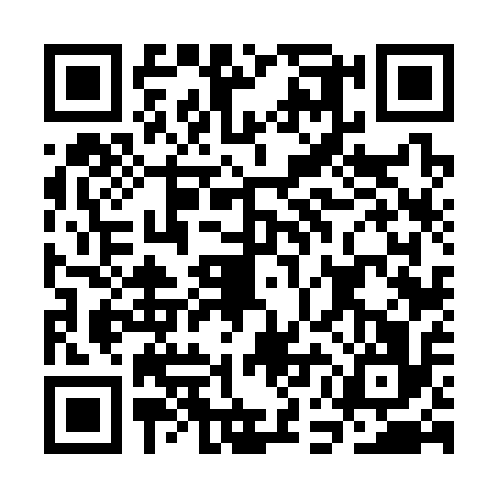 QR code for CEF3161
