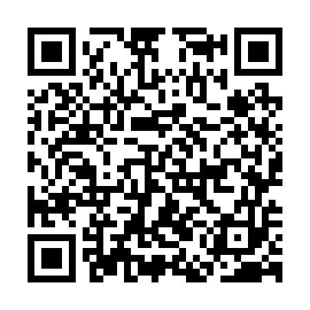 QR code for CEO253