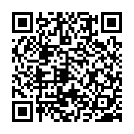 QR code for CHE3594