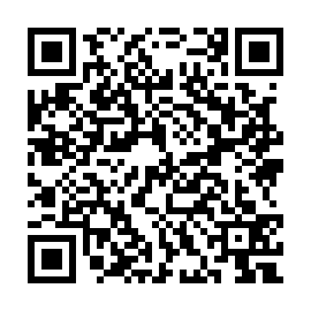 QR code for CHI1339