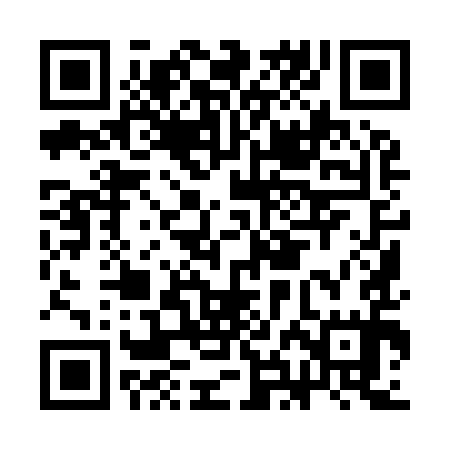 QR code for CHI995