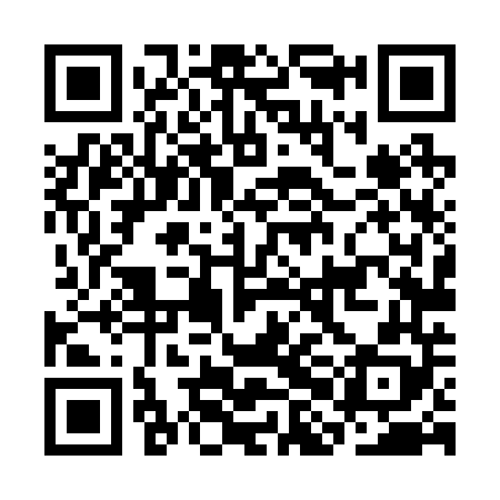 QR code for CHL248