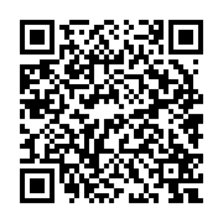 QR code for CHN2272