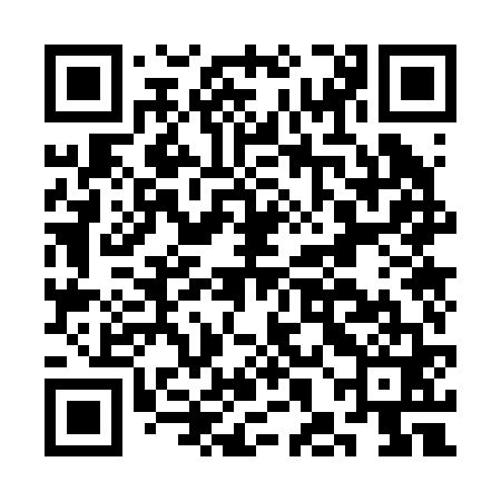 QR code for CHO261
