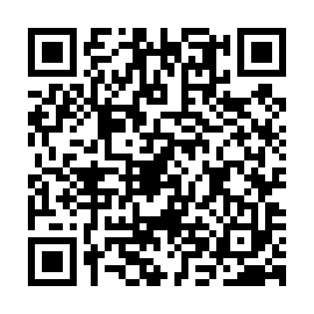 QR code for CHO4933
