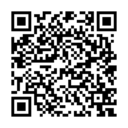 QR code for CHO6375