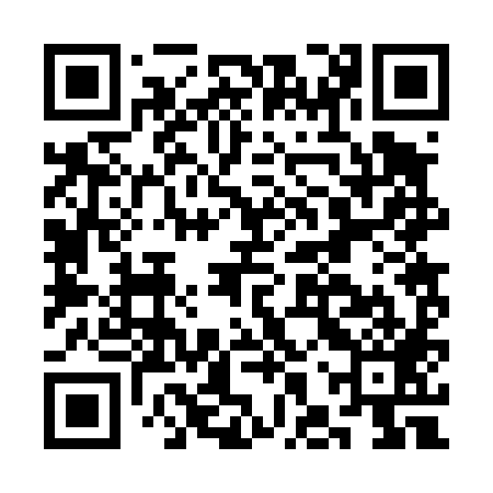 QR code for CHR489
