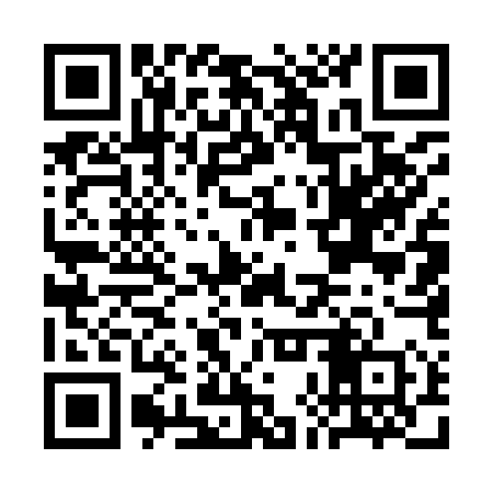 QR code for CHU950