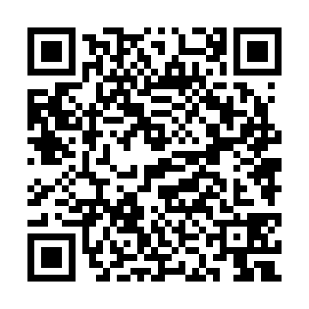 QR code for CKN2381