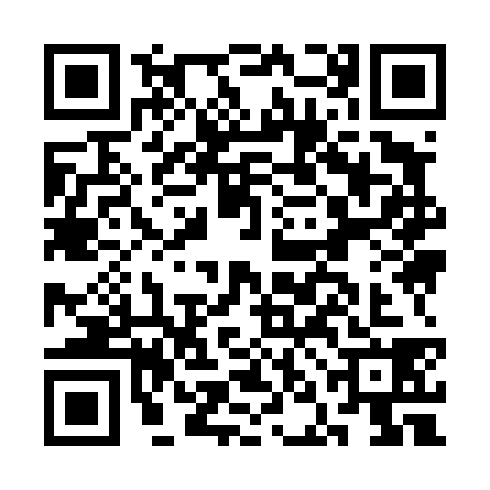 QR code for CNI4383