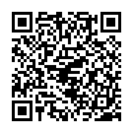 QR code for CNK0533