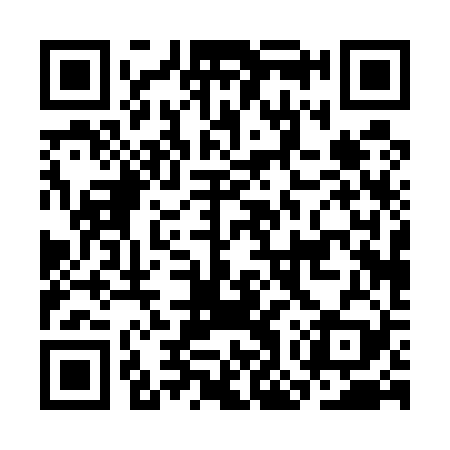 QR code for COP529