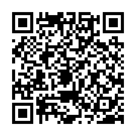 QR code for CRT2384