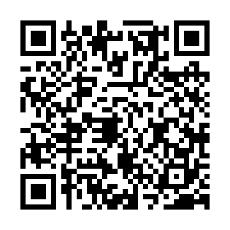 QR code for CVX2729