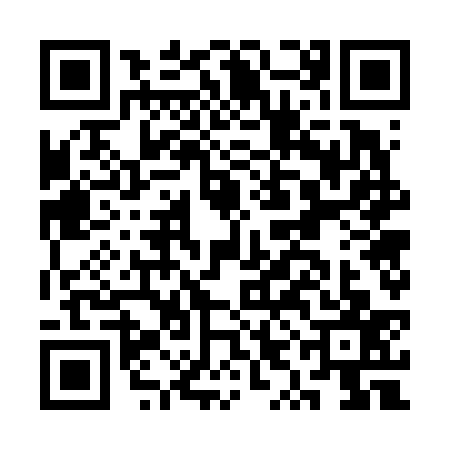 QR code for CYG6377