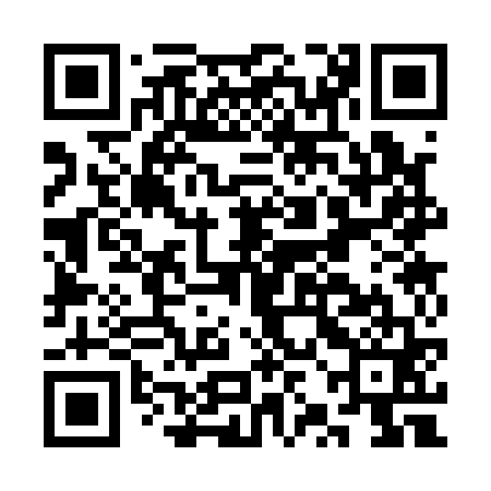 QR code for CZC161