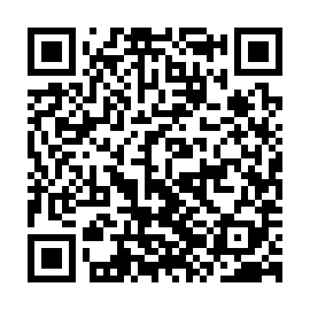 QR code for CZE389