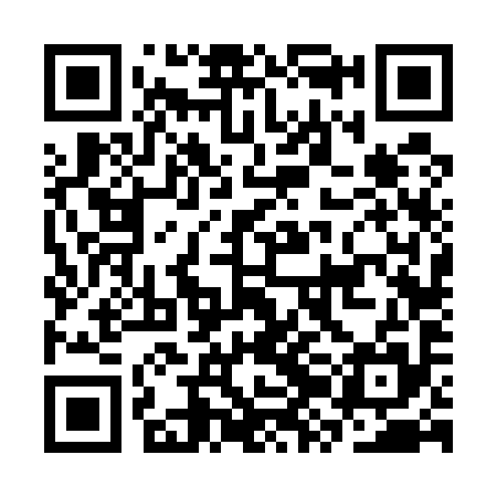 QR code for CZF595