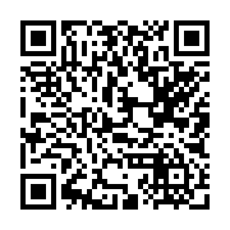QR code for CZO295