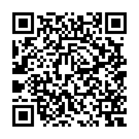 QR code for CZP0573