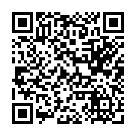 QR code for CZS384