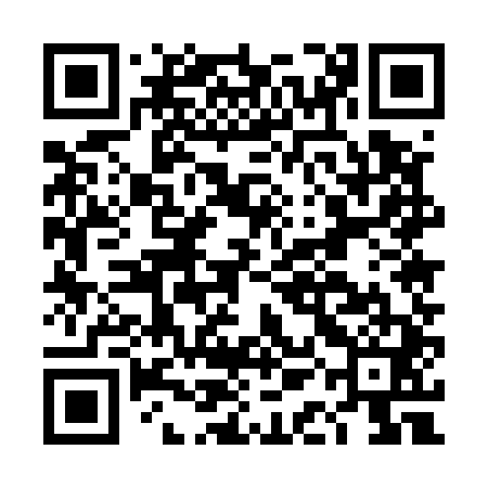 QR code for DAE541