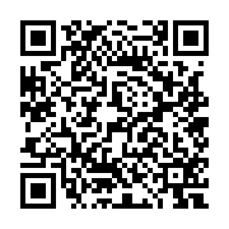 QR code for DAG1161