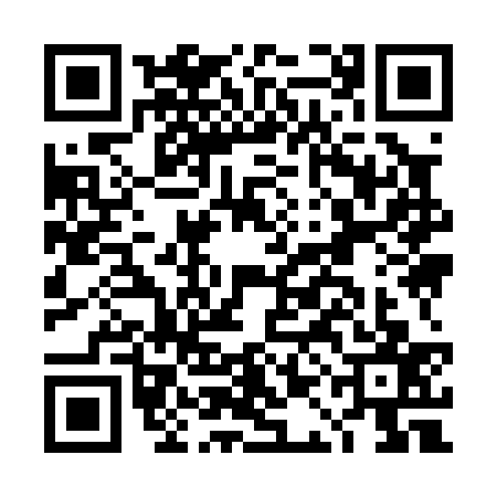 QR code for DAI0376