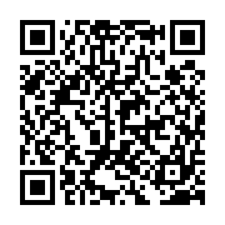 QR code for DAI517