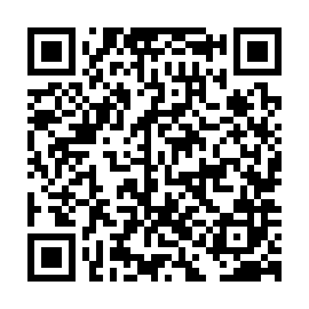 QR code for DAN382
