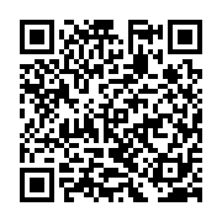 QR code for DAU311
