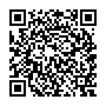 QR code for DBG2917