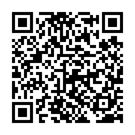 QR code for DFL650