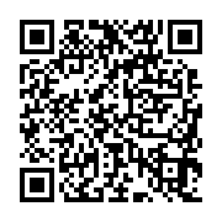 QR code for DFQ2911