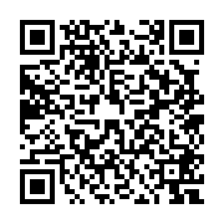 QR code for DFS0482