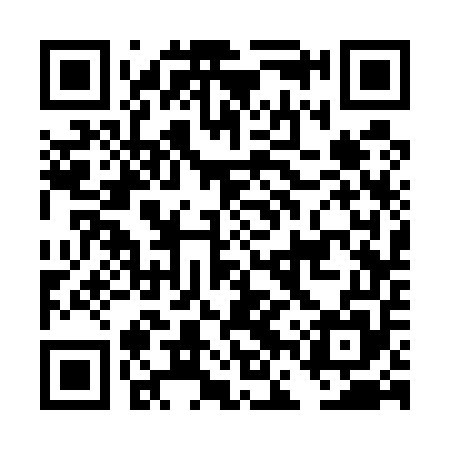 QR code for DFS555